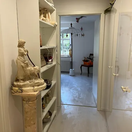 Im Wald Kamp-Lintfort