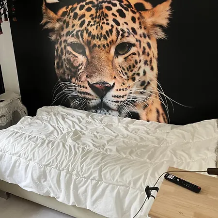 Apartment Im Wald