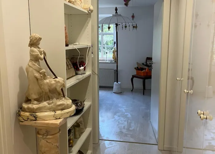 Im Wald Kamp-Lintfort