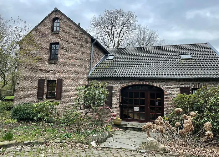 Im Wald * Kamp-Lintfort